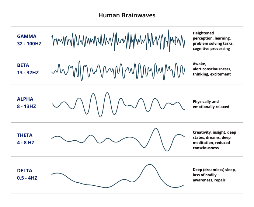 Human Brainwaves