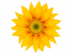 time for relaxation logo 2
