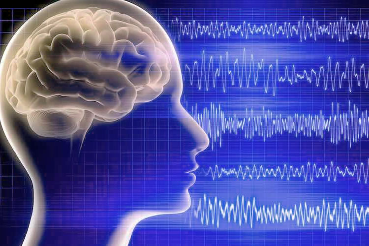 effect frequencies on brain